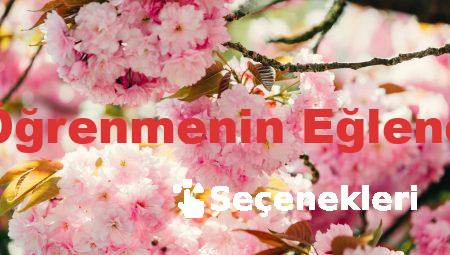 Almanca Öğrenmenin Eğlenceli Yolları