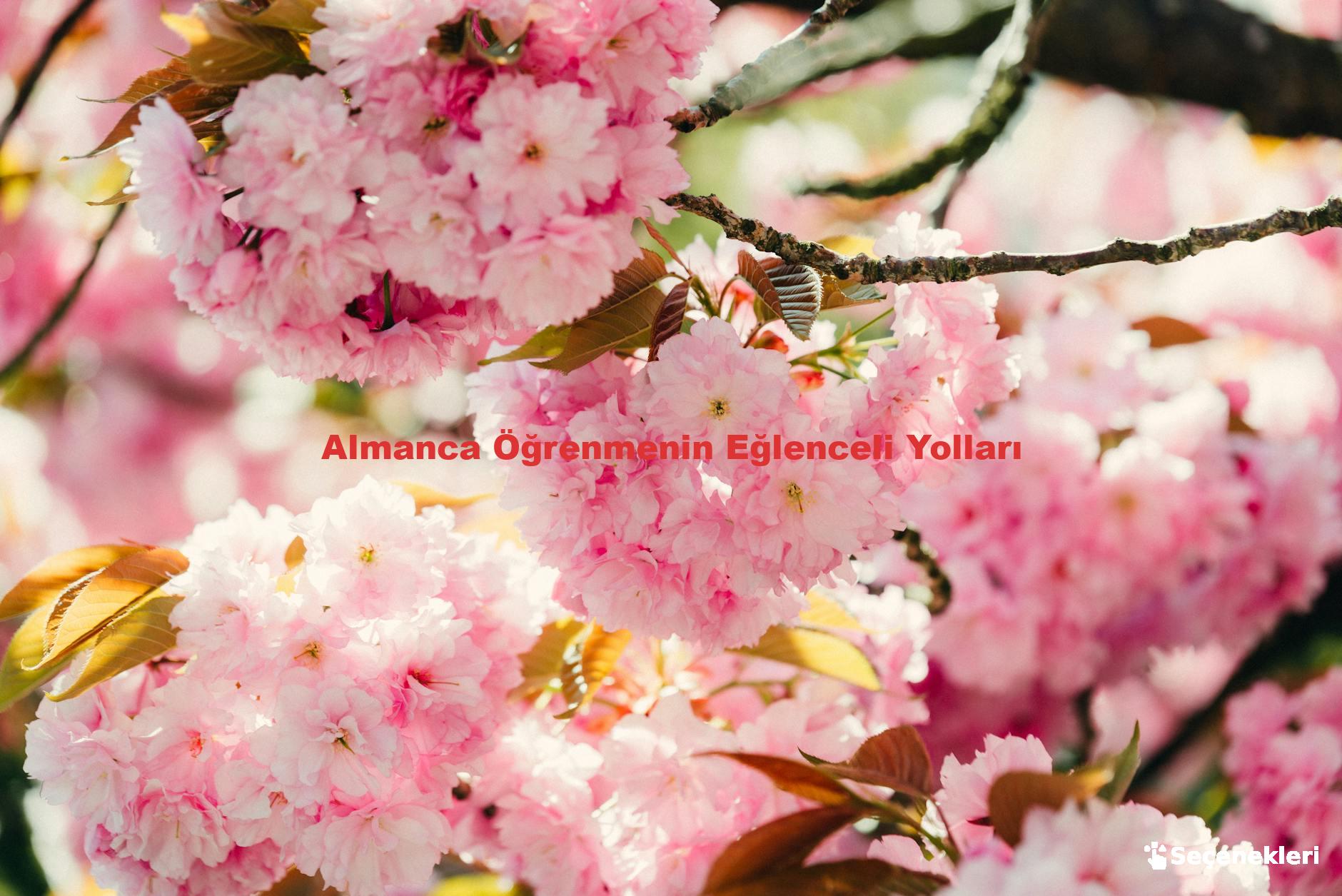 Almanca Öğrenmenin Eğlenceli Yolları