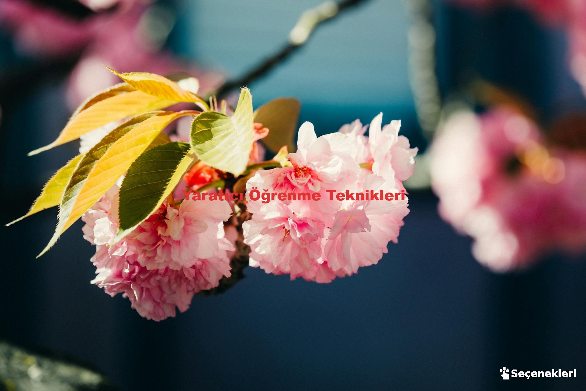 Yaratıcı Öğrenme Teknikleri