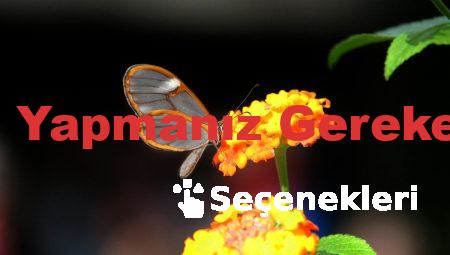 Oto Servisinde Yapmanız Gereken 5 Altın Kural