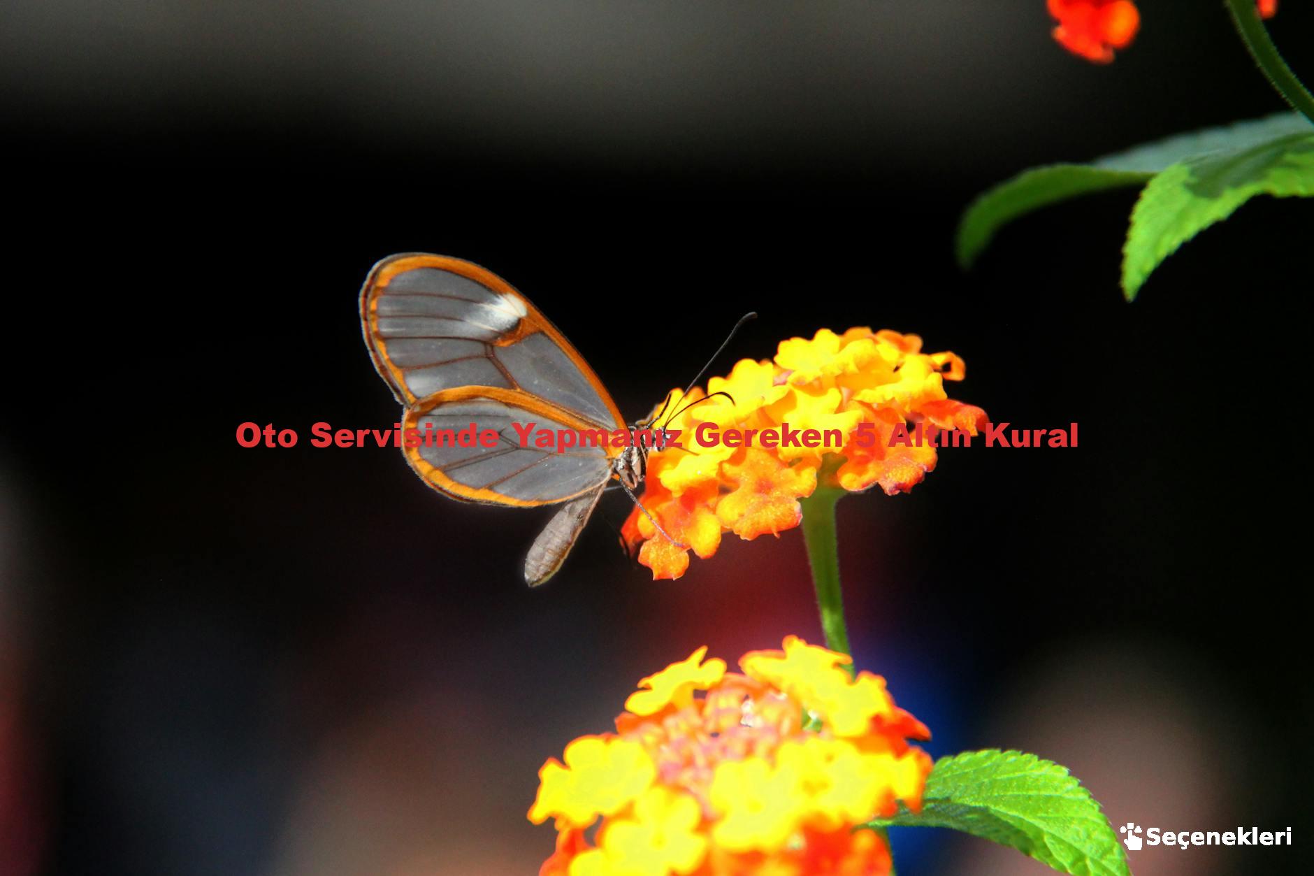 Oto Servisinde Yapmanız Gereken 5 Altın Kural