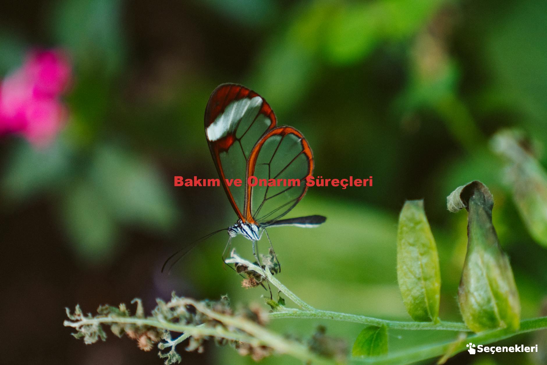 Bakım ve Onarım Süreçleri