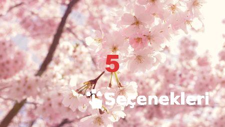 Renkli Çiçekler ile Bursa’yı Şenlendirin!