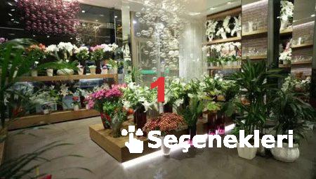 Güvenilir Çiçek Siteleri: Floksia.com’u Keşfedin