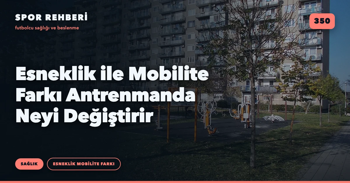 Esneklik ile Mobilite Farkı Antrenmanda Neyi Değiştirir